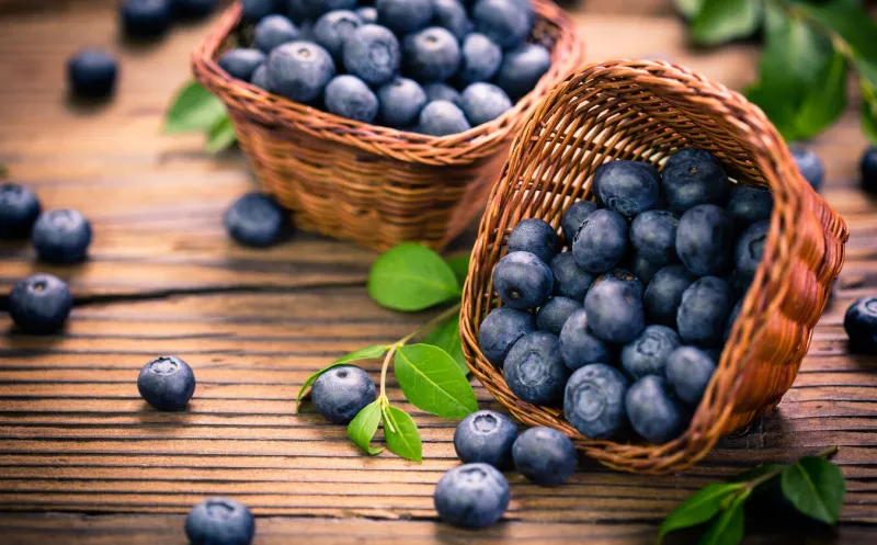 blueberries in the basket