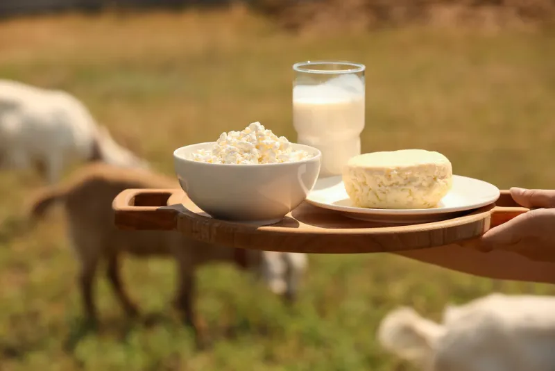 woman with fresh goat milk, quark and cheese on farm