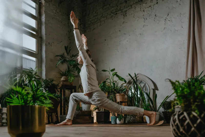 side view of yoga male instructor practicing asana standing in virabhadrasana 1, warrior pose, surrounded by houseplants indoor physical and mental health concept