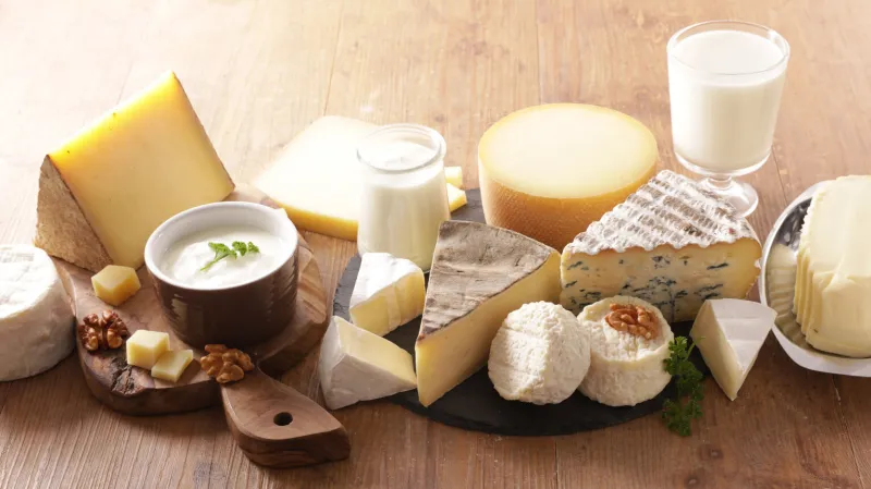 dairy product- cheese, milk, yogurt, butter selection