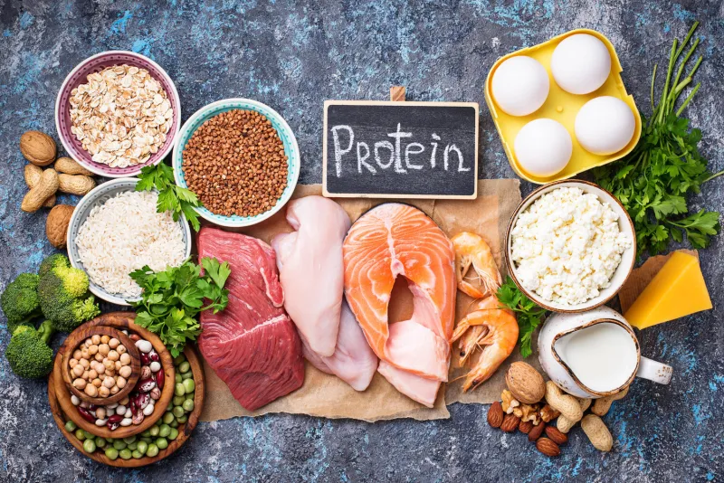 healthy food high in protein meat, fish, dairy products, nuts and beans top view