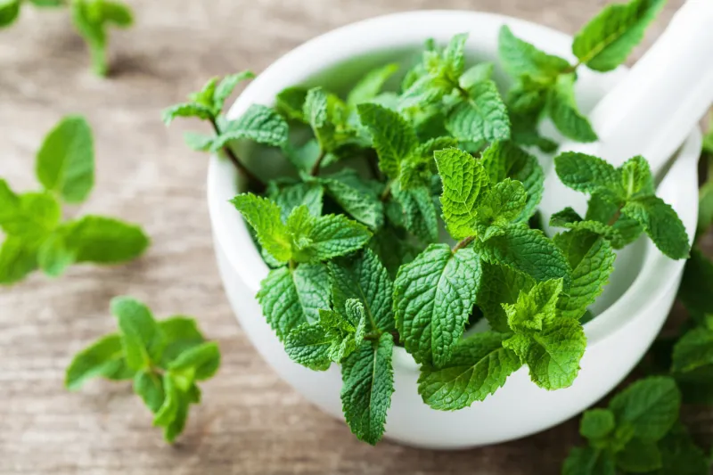 fresh mint leaves in mortar bowl