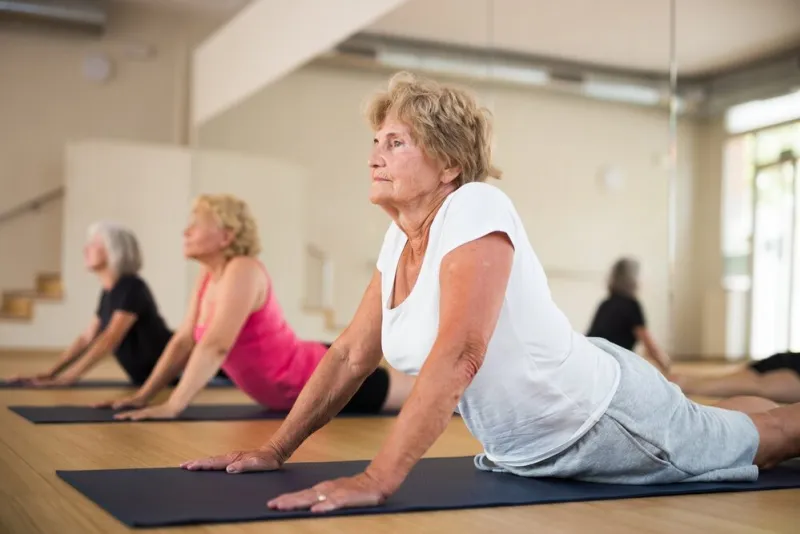 group,of,active,elderly,women,doing,yoga,in,the,studio