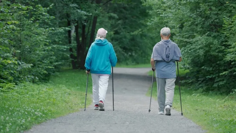 two,sporty,old,pensioner,going,forward,green,nature,wood,park