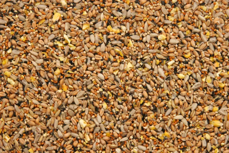 mixed seed full frame