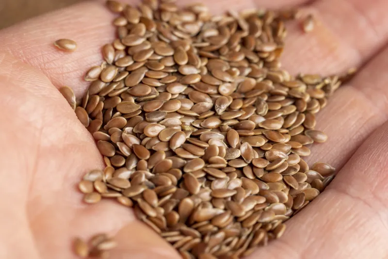 Manger des graines de lin