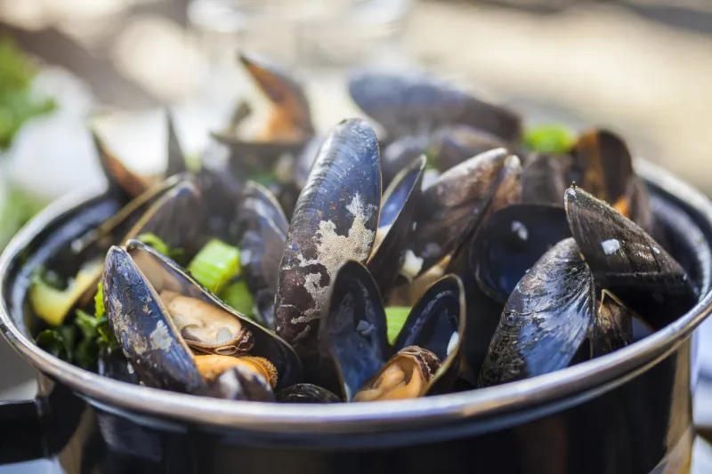 moules iode