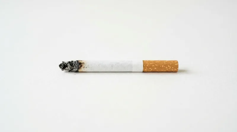 cigarette éteinte sur un fond blanc