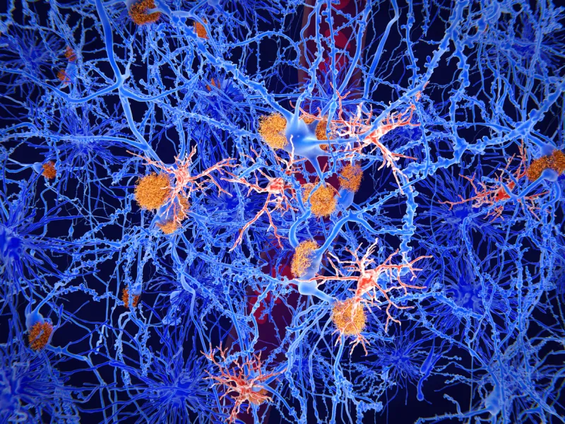 vieillissement des cellules