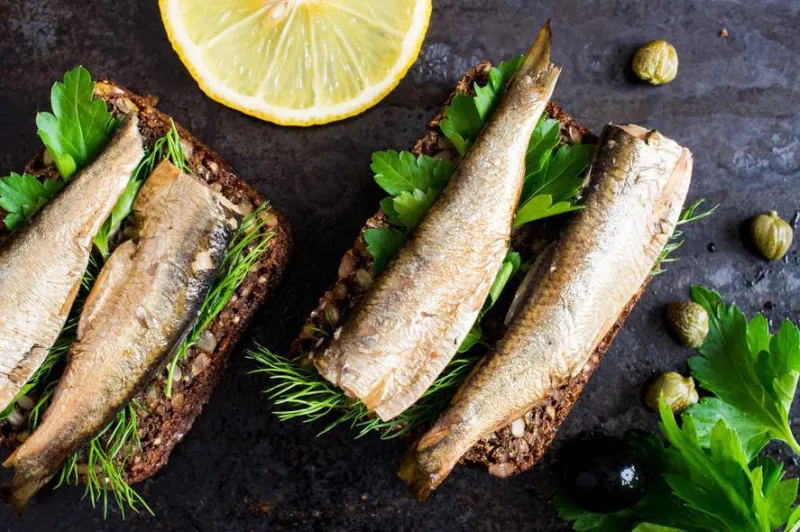 sandwich aux sardines, sprats au persil et à l'aneth