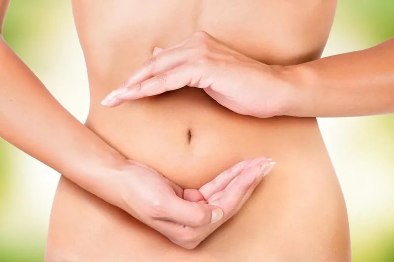 cycle à l'intérieur du corps féminin, cercle de digestion, menstruation