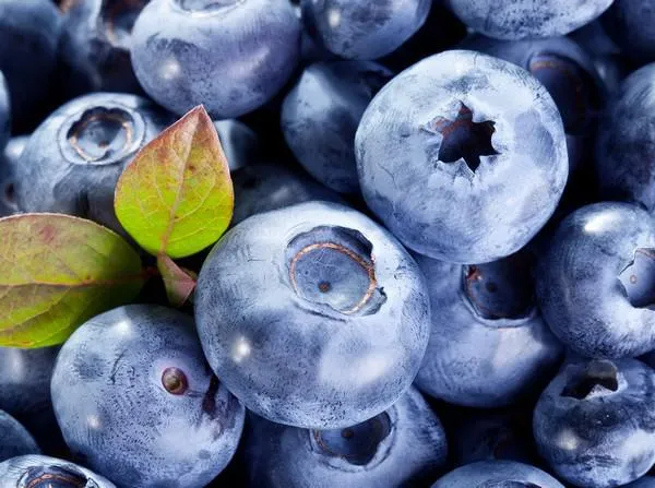 myrtilles mûres - fond de nourriture macro shot