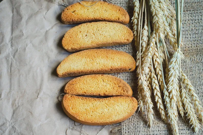 rusk white dry bread on canvas and paper background and rye ripe spikelets
