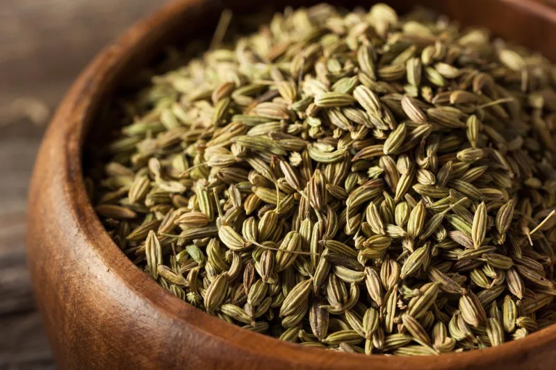 graine de fenouil biologique crue prête à l'emploi