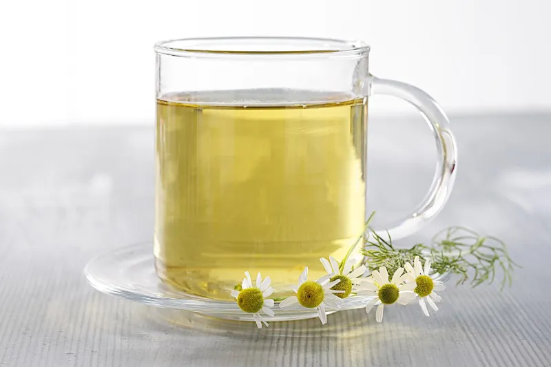 camomille romaine - tisane