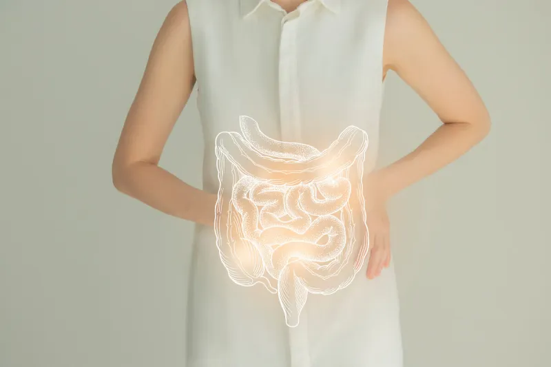 woman in white clothes holding virtual intestine in hand handrawn human organ, detox and healthcare, healthcare hospital service concept stock photo
