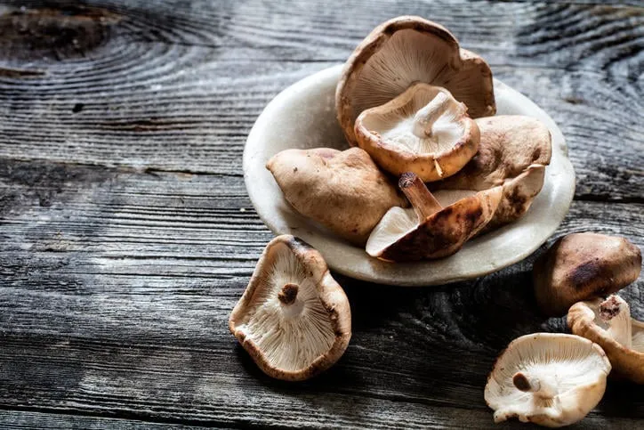 légumes nature morte - champignons shiitake dans la tasse en pierre sur fond de bois ancien authentique, studio shot