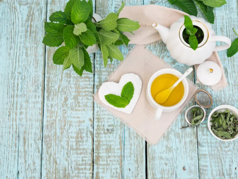 healthy refreshing beverage dry and fresh green mint leaves and mint tea in a white mug on a wooden rustic table phytotherapy medicinal herbs herbal tea cup with teapot