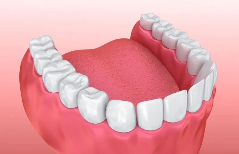 bouche gomme et dents médicalement précis dent illustration 3d