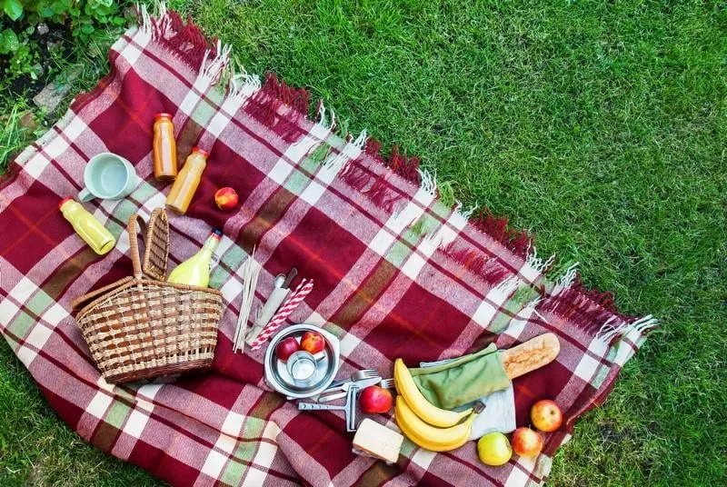 basket setting food fruit checkered plaid picnic grass summer time rest background top view