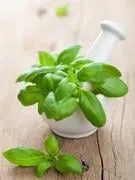 basilic dans le mortier