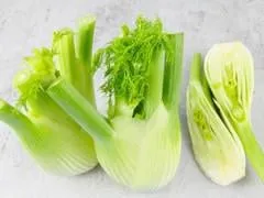 fenouil, tubercules de fenouil