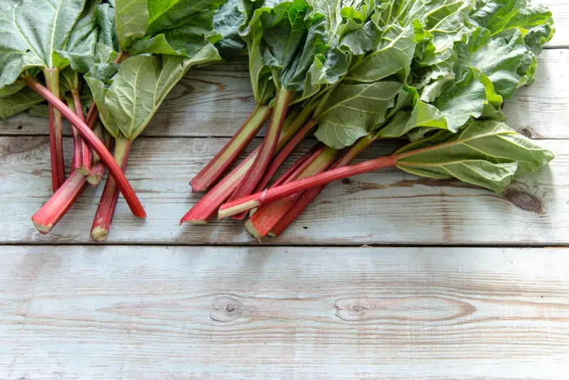 rhubarb