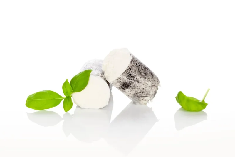 goat cheese with basil isolated on white background