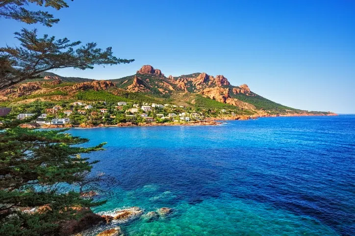 esterel mediterranean red rocks coast, beach, tree and sea french riviera in cote d azur near cannes saint raphael, provence, france, europe