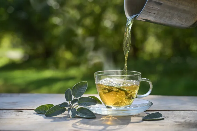 pouring hot water in a glass cup with sage leaves, healthy herbal tea and home remedy for coughs, sore throat and digestive problems, dark green background, copy space, selected focus