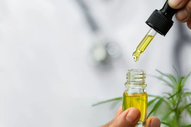 doctor hand holding bottle of cannabis oil against marijuana plant, cbd hemp oil pipette cannabis recipe, alternative remedy or medication, medical marijuana, medicine concept