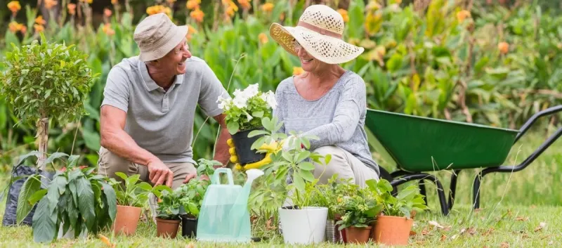 happy grandmother and grandfather gardening