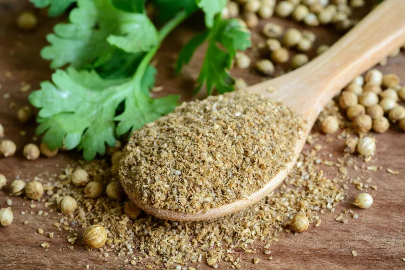 coriander powder, aromatic ingredients and condiment on rustic wooden table