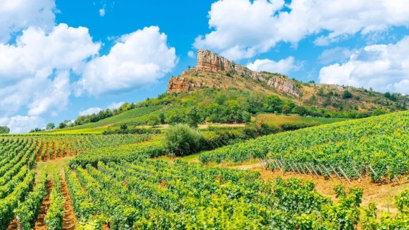 solutre,rock,with,vineyards,,burgundy,,france