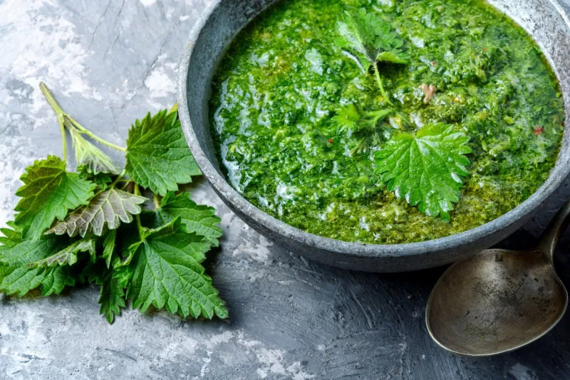 nettle soup in bowl on wooden surfacegreen nettle soup