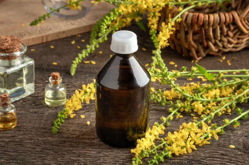 a bottle of tincture with fresh blooming agrimony plant, with essential oils in the background