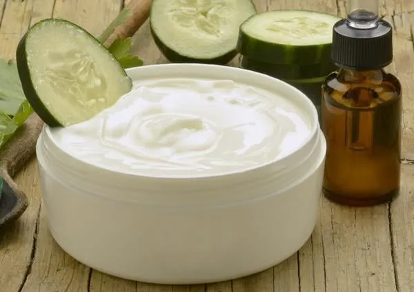 cucumis sativus plaine concombre concombre