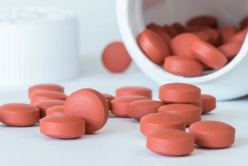 michelle lee photography