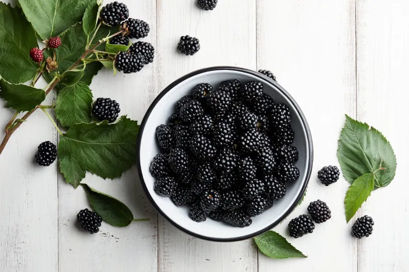 bowl of fresh ripe blackberries on textured stone background