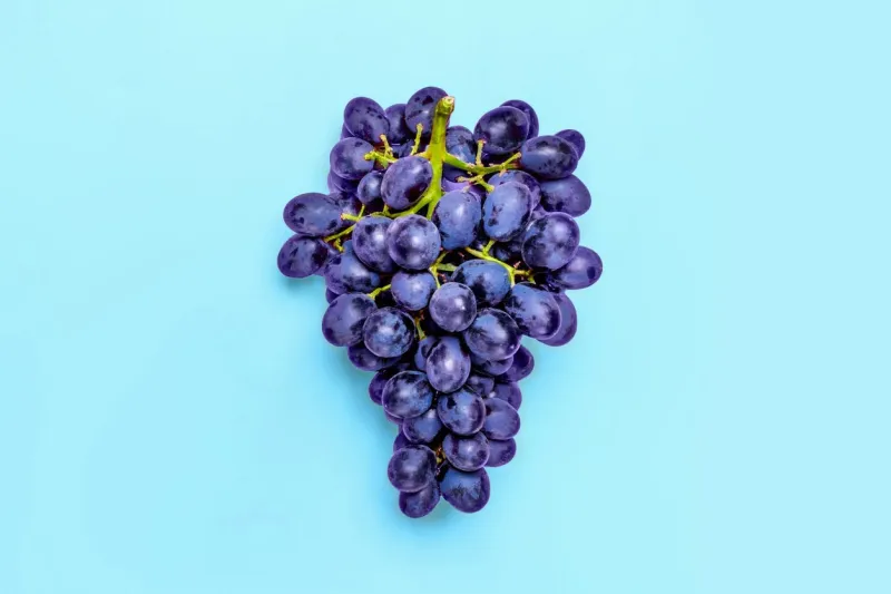 natural organic black juicy grapes on a trend pink millennial background top view flat lay