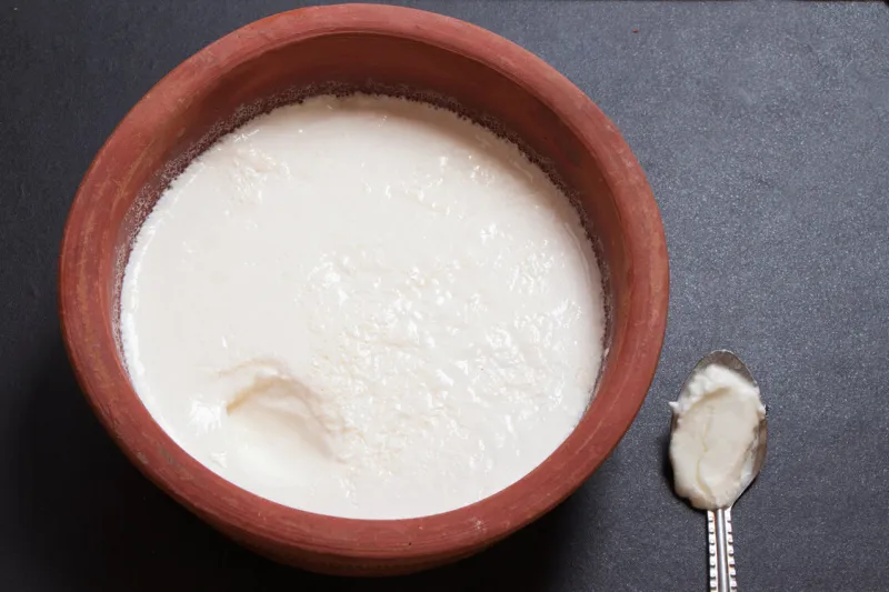 home made curd in a earthen bowl