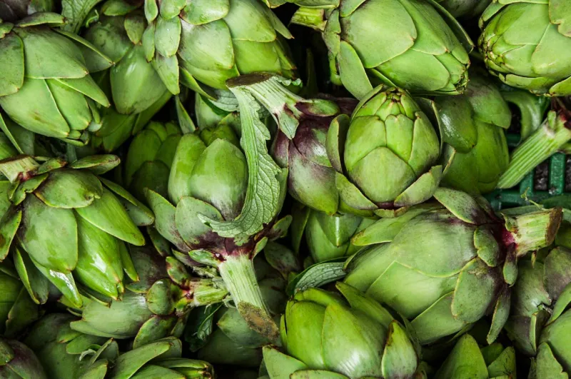 artichokes in closeup