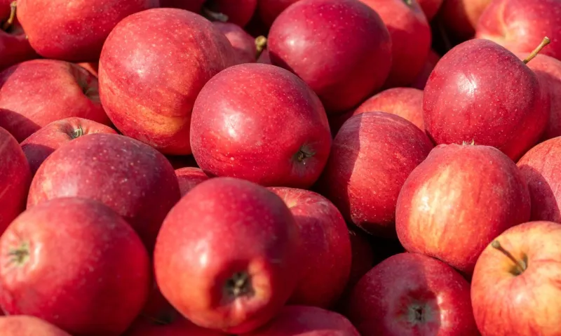 close up of red apples at farmers market