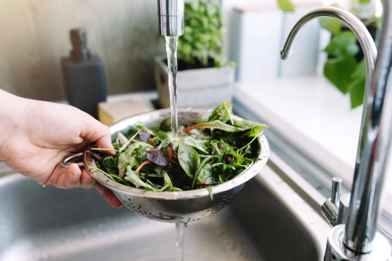 woman washing green salad leaves for salad in kitchen in sink under running water high quality photo