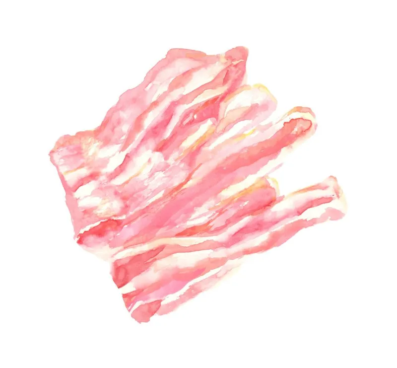 illustration of pork belly drawn in watercolor