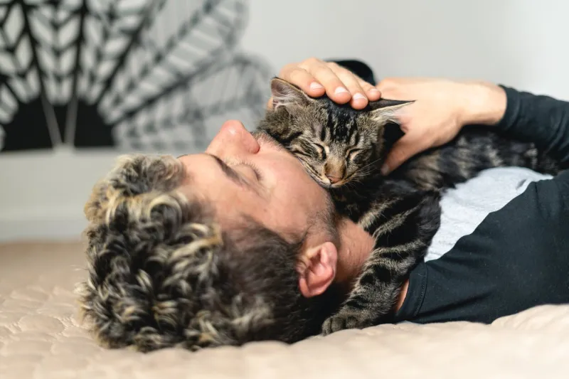adorable close up shot of man sleeping with his cat on the bed while holding him with love selective focus