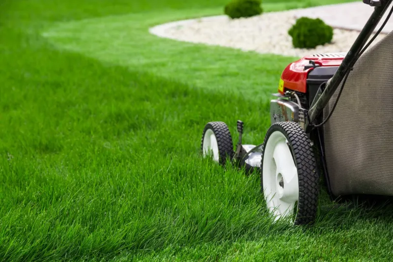 photograph of lawn mower on the green grass mower is located on the right side of the photograph with view on grass field