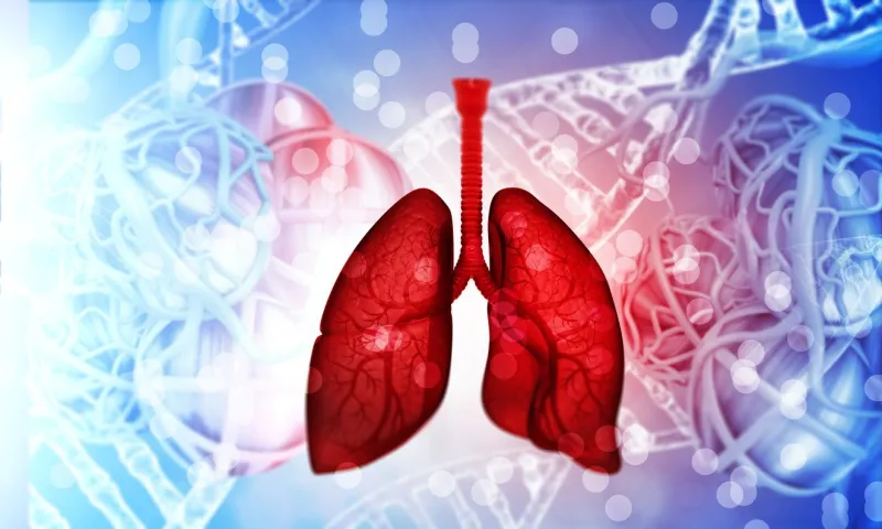 human lungs with medical background 3d illustration