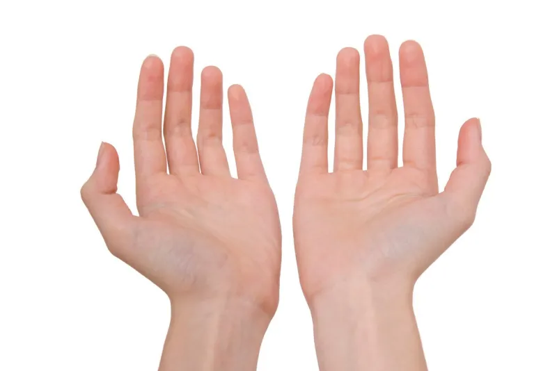 two open empty hands with palms up, isolated on white background