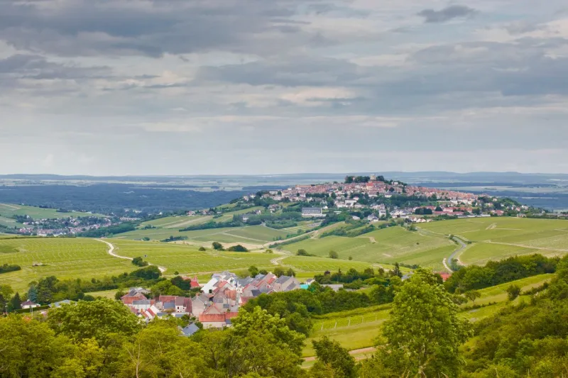 the vineyards of sancerre in the loire valley of france